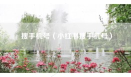 搜手机号（小红书搜手机号）
