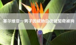 塞尔维亚一男子因威胁总统武契奇被拘