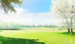 vivo官网找回手机（vivo云服务定位查找）