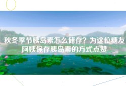 秋冬季节胰岛素怎么储存？为这位糖友阿姨保存胰岛素的方式点赞