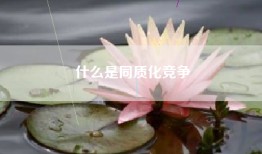 什么是同质化竞争