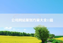 公司网站策划方案大全11篇
