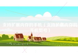 支持扩展内存的手机（支持扩展内存的手机型号）
