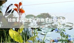 检查手机安全（检查手机安全吗）