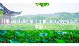 手机wifi自动连接（手机wifi自动连接怎么取消）