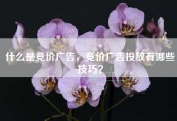 什么是竞价广告，竞价广告投放有哪些技巧？