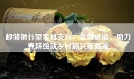 邮储银行望奎县支行：金融赋能，助力春耕绘就乡村振兴新画卷