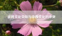 谈跨文化交际与中西文化的冲突