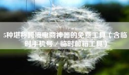 5种堪称跨境电商神器的免费工具（含临时手机号／临时邮箱工具）