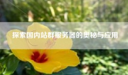 探索国内站群服务器的奥秘与应用