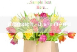 这款开源软件，让 Win11 用户狂喜