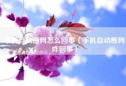 手机自动断网怎么回事（手机自动断网咋回事）