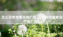 怎么百度搜索没有广告_百度如何搜索没有广告