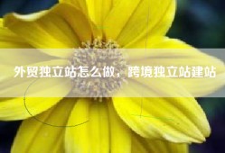 外贸独立站怎么做，跨境独立站建站
