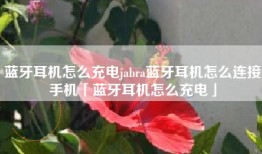 蓝牙耳机怎么充电jabra蓝牙耳机怎么连接手机「蓝牙耳机怎么充电」