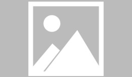 塞尔维亚总统武契奇点赞：中国建设者十分出色