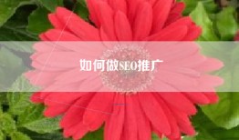 如何做SEO推广