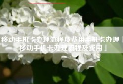 移动手机卡办理流程及费用手机卡办理「移动手机卡办理流程及费用」