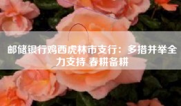 邮储银行鸡西虎林市支行：多措并举全力支持 春耕备耕