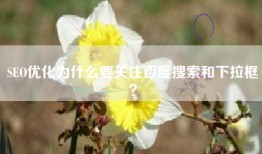 SEO优化为什么要关注百度搜索和下拉框？