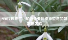 SEO代理推广，加速企业网络声望与品牌增值之路