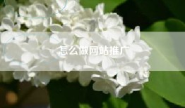怎么做网站推广