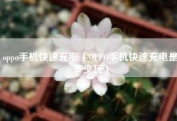 oppo手机快速充电（OPPO手机快速充电是多少瓦）