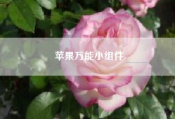 苹果万能小组件