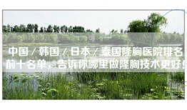中国／韩国／日本／泰国隆胸医院排名前十名单，告诉你哪里做隆胸技术更好！