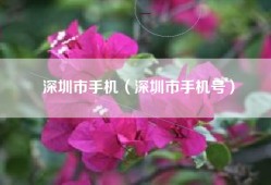 深圳市手机（深圳市手机号）