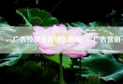 seo广告投放是做什么的呢_seo广告营销
