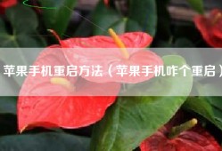 苹果手机重启方法（苹果手机咋个重启）