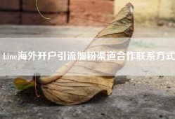 Line海外开户引流加粉渠道合作联系方式