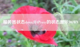 服务器状态down,HAProxy的状态显示DOWN