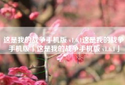 这是我的战争手机版 v1.6.1这是我的战争手机版「这是我的战争手机版 v1.6.1」