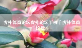 虎扑体育论坛虎扑论坛手机「虎扑体育论坛」