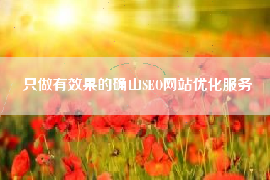 只做有效果的确山SEO网站优化服务