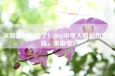 深圳家长崩溃了！2024中考人数创历史新高，录取率？