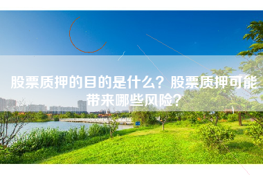 股票质押的目的是什么？股票质押可能带来哪些风险？