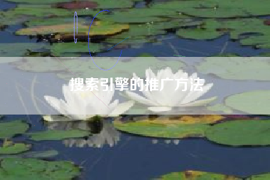 搜索引擎的推广方法