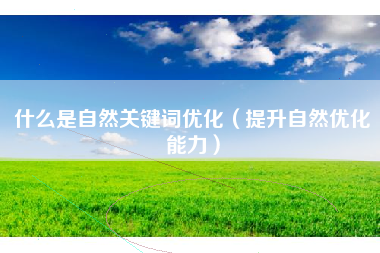 什么是自然关键词优化（提升自然优化能力）