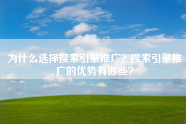 为什么选择搜索引擎推广？搜索引擎推广的优势有哪些？