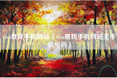 vivo查找手机网站（vivo查找手机网站无手机号码）
