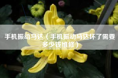 手机振动马达（手机振动马达坏了需要多少钱维修）