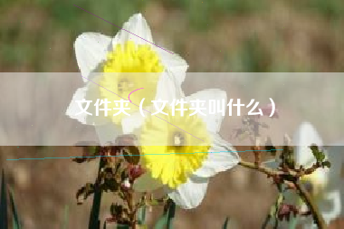 文件夹（文件夹叫什么）