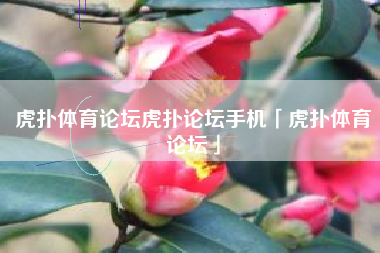 虎扑体育论坛虎扑论坛手机「虎扑体育论坛」