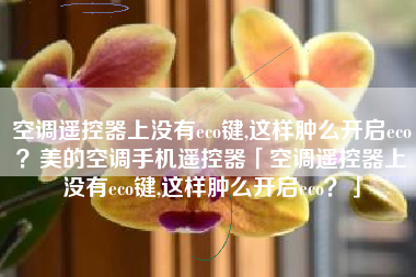 空调遥控器上没有eco键,这样肿么开启eco？美的空调手机遥控器「空调遥控器上没有eco键,这样肿么开启eco？」
