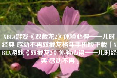 XBLA游戏《双截龙2》体验心得——儿时经典 感动不再双截龙格斗手机版下载「XBLA游戏《双截龙2》体验心得——儿时经典 感动不再」