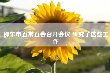 邵东市委常委会召开会议 研究了这些工作