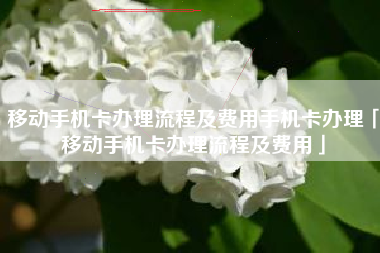移动手机卡办理流程及费用手机卡办理「移动手机卡办理流程及费用」